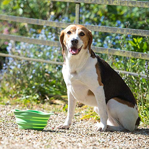 Beco Travel Bowl - összecsukható szilikon etetőtál kutyáknak L - rózsaszín - outlet termék