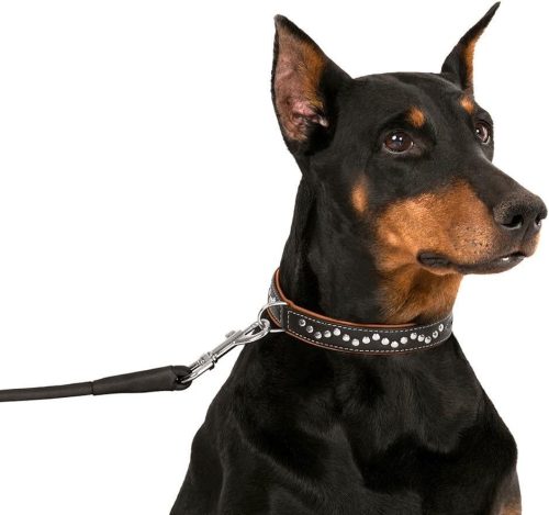 Collardirect kézzel készített bőr kutyanyakörv szegecses, puha párnázott, barna - outlet termék