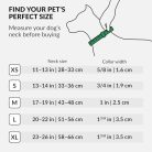 CollarDirect szegecses bőr kutyanyakörv kis-közepes kölyökkutyáknak, puha párnázott - outlet termék