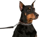 Collardirect kézzel készített bőr kutyanyakörv szegecses, puha párnázott, barna - outlet termék