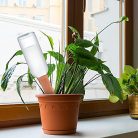 WUJUN növényöntöző tüskék 10 darabos automata öntöző terrakotta beltéri és kültéri - outlet termék