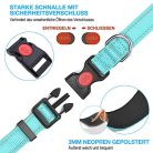 Haapaw kutyanyakörv fényvisszaverő, puha neoprénnel, állítható, légáteresztő, nylon - outlet termék