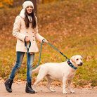 Haapaw kutyanyakörv fényvisszaverő, puha neoprénnel, állítható, légáteresztő, nylon - outlet termék