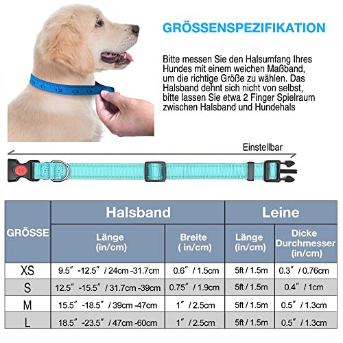 Haapaw kutyanyakörv fényvisszaverő, puha neoprénnel, állítható, légáteresztő, nylon - outlet termék