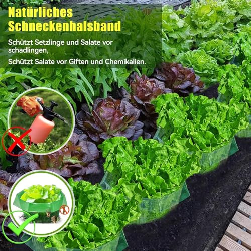 Sunshine smile 10 darabos csigavédő gyűrű műanyag - outlet termék