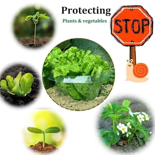 Sunshine smile medence vegyszeradagoló automata - outlet termék