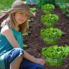 Sunshine smile medence vegyszeradagoló automata - outlet termék