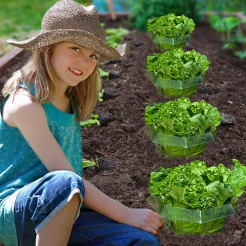 Sunshine smile medence vegyszeradagoló automata - outlet termék