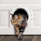 Lynx macskaajtós beltéri ajtó stílusos, macskaajtóval, 11 kg-ig - outlet termék