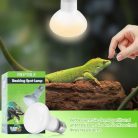 LUCKY HERP 100 W hőlámpa 2 darabos, E27, terrárium - outlet termék