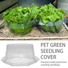 Sunshine smile 20 darabos csigavédő gyűrűk hamu - outlet termék