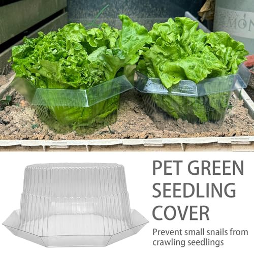 Sunshine smile 20 darabos csigavédő gyűrűk hamu - outlet termék