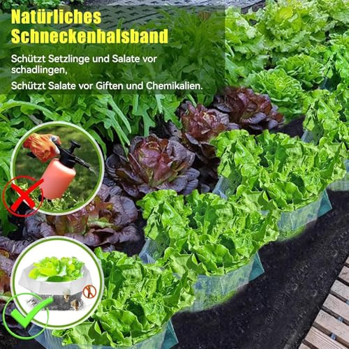 Sunshine smile 20 darabos csigavédő gyűrűk hamu - outlet termék