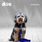DDOXX fényvisszaverő póráz kutyáknak, Air-Mesh - 2m, 3-szoros, harapásálló - outlet termék
