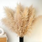 Szárított pampafű dekoráció, 100 darabos pampafű nyuszifarokkal, szárított virágok - outlet termék