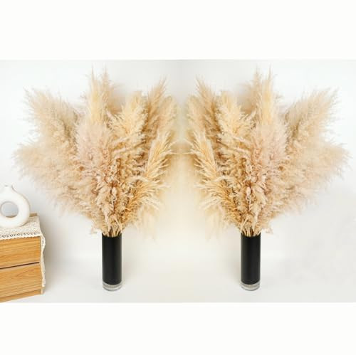 Szárított pampafű dekoráció, 100 darabos pampafű nyuszifarokkal, szárított virágok - outlet termék