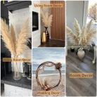 Szárított pampafű dekoráció, 100 darabos pampafű nyuszifarokkal, szárított virágok - outlet termék