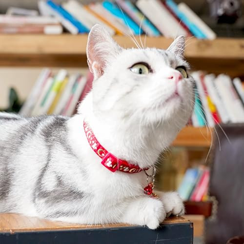 DAIHAQIKO 2 darabos fényvisszaverő macskanyakörv holdcsengővel, szín: ragyogó - outlet termék