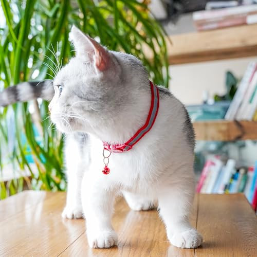 DAIHAQIKO 2 darabos fényvisszaverő macskanyakörv holdcsengővel, szín: ragyogó - outlet termék