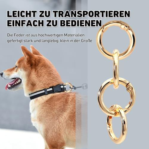 20 darabos kerek karabiner készlet arany - outlet termék