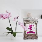 GOTVUGE orchideaföld orchidea-szubsztrát 4L orchideakéreg és organikus perlit - outlet termék