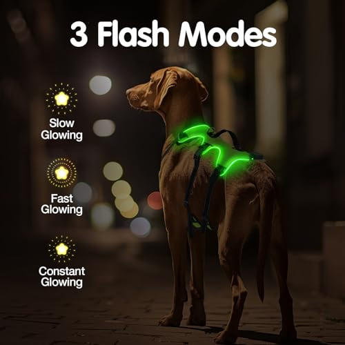 Jewyow kutyahám LED világítással, újratölthető, puha fogantyúval, 3 állítható mód - outlet termék