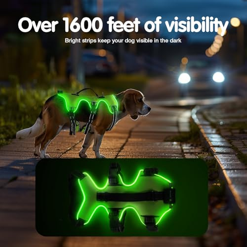 Jewyow kutyahám LED világítással, újratölthető, puha fogantyúval, 3 állítható mód - outlet termék