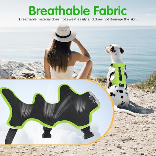 Jewyow kutyahám LED világítással, újratölthető, puha fogantyúval, 3 állítható mód - outlet termék