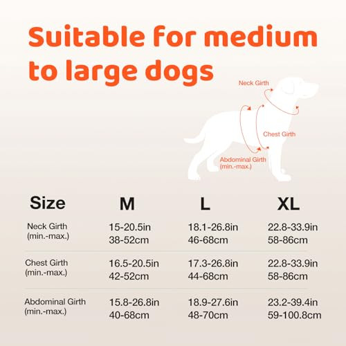 Jewyow kutyahám LED világítással, újratölthető, puha fogantyúval, 3 állítható mód - outlet termék