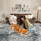 Vamcheer szőnyeg nappali puha szivacs - 160x230 mosható hálószoba szőnyeg - outlet termék