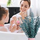 17 darabos szárított eukaliptusz szárak kék - outlet termék