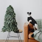 Kuoser kutyaruha műtét után fekete - outlet termék