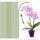 HOUNANG növénytámasz 44,5 cm 20 darabos növénykaró, rugalmas orchidea pálcák zöld - outlet termék
