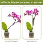 HOUNANG növénytámasz 44,5 cm 20 darabos növénykaró, rugalmas orchidea pálcák zöld - outlet termék