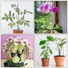 HOUNANG növénytámasz 44,5 cm 20 darabos növénykaró, rugalmas orchidea pálcák zöld - outlet termék