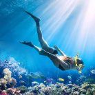 LITTLEJSY felnőtt búvárkészlet páramentes búvárszemüveg  - outlet termék