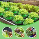 Ruibinlee csigavédő gyűrű 13 darabos, zöld - outlet termék