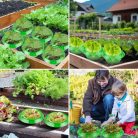 Ruibinlee csigavédő gyűrű 13 darabos, zöld - outlet termék