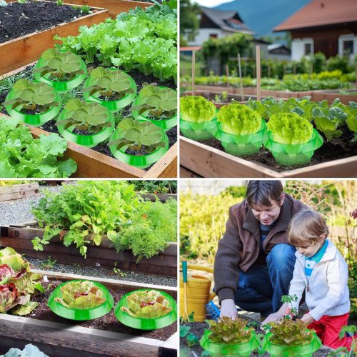 Ruibinlee csigavédő gyűrű 13 darabos, zöld - outlet termék