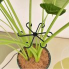 16 darabos növénytámasz, műanyag növényszár tartó, kerti támasz gyűrű, több méret - outlet termék