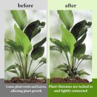 16 darabos növénytámasz, műanyag növényszár tartó, kerti támasz gyűrű, több méret - outlet termék