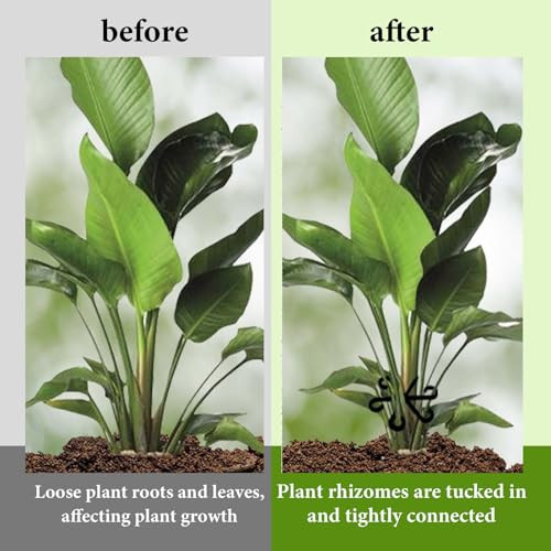 16 darabos növénytámasz, műanyag növényszár tartó, kerti támasz gyűrű, több méret - outlet termék