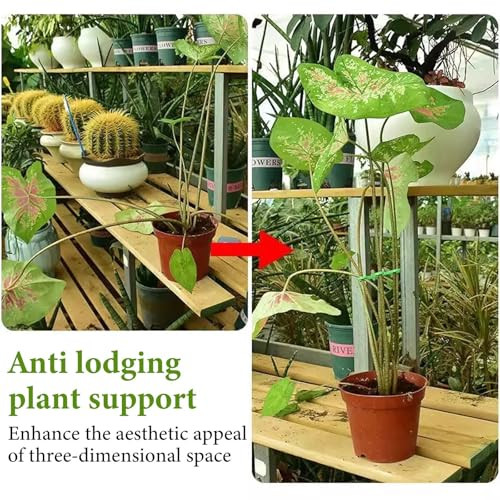 16 darabos növénytámasz, műanyag növényszár tartó, kerti támasz gyűrű, több méret - outlet termék